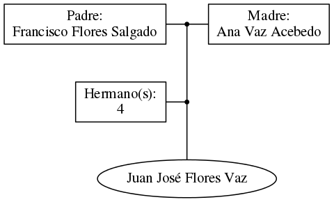 This is a graph with borders and nodes. Maybe there is an Imagemap used so the nodes may be linking to some Pages.