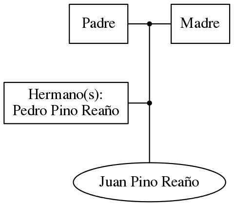 This is a graph with borders and nodes. Maybe there is an Imagemap used so the nodes may be linking to some Pages.