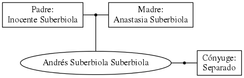 This is a graph with borders and nodes. Maybe there is an Imagemap used so the nodes may be linking to some Pages.