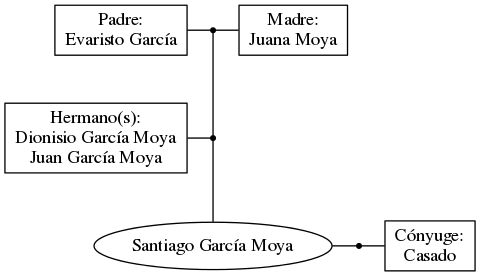 This is a graph with borders and nodes. Maybe there is an Imagemap used so the nodes may be linking to some Pages.