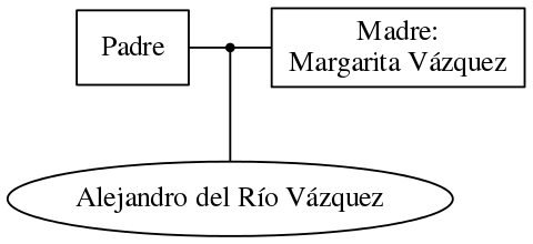 This is a graph with borders and nodes. Maybe there is an Imagemap used so the nodes may be linking to some Pages.