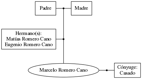 This is a graph with borders and nodes. Maybe there is an Imagemap used so the nodes may be linking to some Pages.