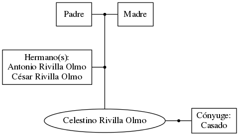 This is a graph with borders and nodes. Maybe there is an Imagemap used so the nodes may be linking to some Pages.