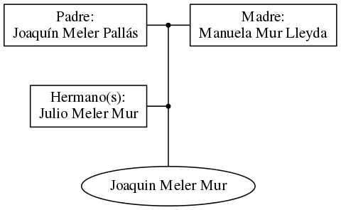 This is a graph with borders and nodes. Maybe there is an Imagemap used so the nodes may be linking to some Pages.