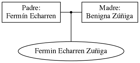 This is a graph with borders and nodes. Maybe there is an Imagemap used so the nodes may be linking to some Pages.