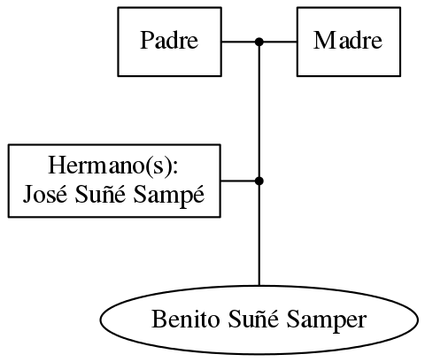 This is a graph with borders and nodes. Maybe there is an Imagemap used so the nodes may be linking to some Pages.