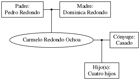 This is a graph with borders and nodes. Maybe there is an Imagemap used so the nodes may be linking to some Pages.