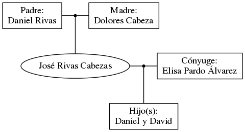 This is a graph with borders and nodes. Maybe there is an Imagemap used so the nodes may be linking to some Pages.