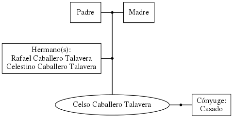 This is a graph with borders and nodes. Maybe there is an Imagemap used so the nodes may be linking to some Pages.