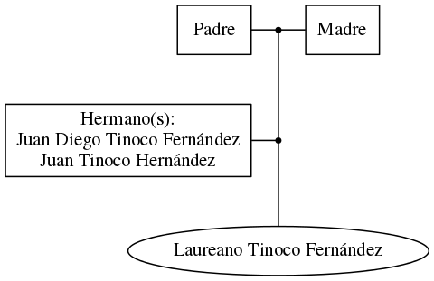 This is a graph with borders and nodes. Maybe there is an Imagemap used so the nodes may be linking to some Pages.