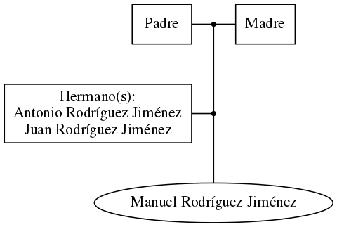 This is a graph with borders and nodes. Maybe there is an Imagemap used so the nodes may be linking to some Pages.