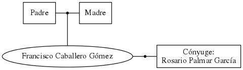 This is a graph with borders and nodes. Maybe there is an Imagemap used so the nodes may be linking to some Pages.