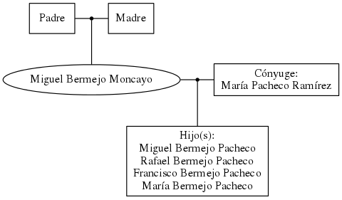 This is a graph with borders and nodes. Maybe there is an Imagemap used so the nodes may be linking to some Pages.