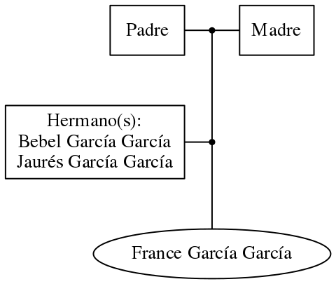 This is a graph with borders and nodes. Maybe there is an Imagemap used so the nodes may be linking to some Pages.