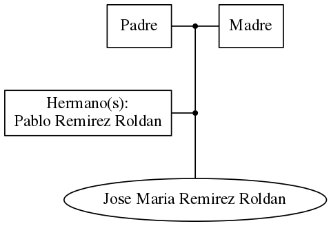 This is a graph with borders and nodes. Maybe there is an Imagemap used so the nodes may be linking to some Pages.