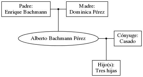 This is a graph with borders and nodes. Maybe there is an Imagemap used so the nodes may be linking to some Pages.