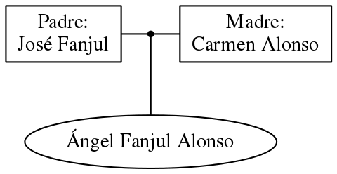 This is a graph with borders and nodes. Maybe there is an Imagemap used so the nodes may be linking to some Pages.