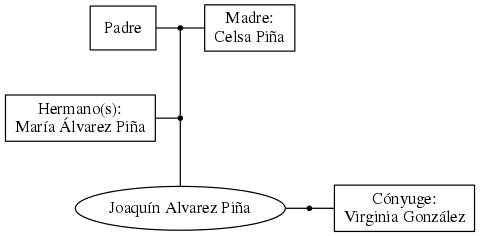 This is a graph with borders and nodes. Maybe there is an Imagemap used so the nodes may be linking to some Pages.