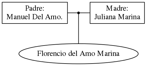 This is a graph with borders and nodes. Maybe there is an Imagemap used so the nodes may be linking to some Pages.