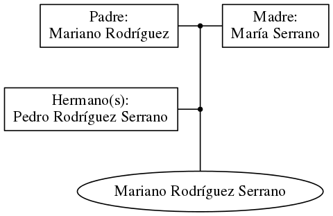 This is a graph with borders and nodes. Maybe there is an Imagemap used so the nodes may be linking to some Pages.