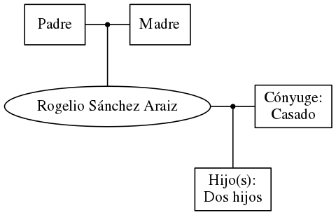 This is a graph with borders and nodes. Maybe there is an Imagemap used so the nodes may be linking to some Pages.