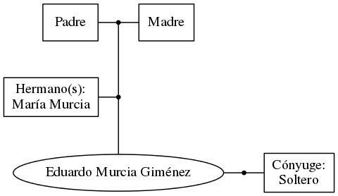 This is a graph with borders and nodes. Maybe there is an Imagemap used so the nodes may be linking to some Pages.