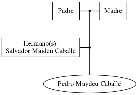 This is a graph with borders and nodes. Maybe there is an Imagemap used so the nodes may be linking to some Pages.