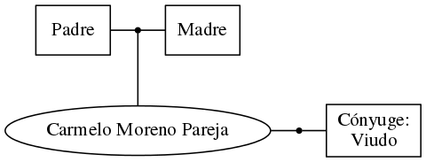 This is a graph with borders and nodes. Maybe there is an Imagemap used so the nodes may be linking to some Pages.