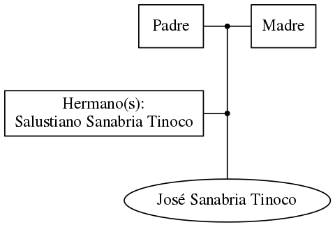 This is a graph with borders and nodes. Maybe there is an Imagemap used so the nodes may be linking to some Pages.