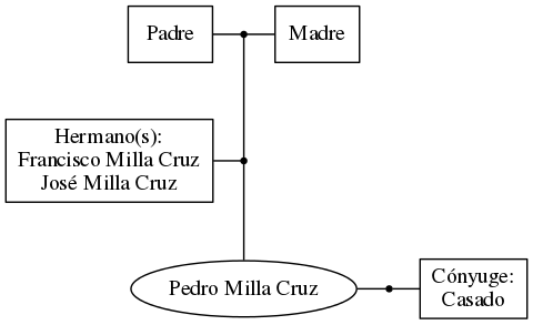 This is a graph with borders and nodes. Maybe there is an Imagemap used so the nodes may be linking to some Pages.