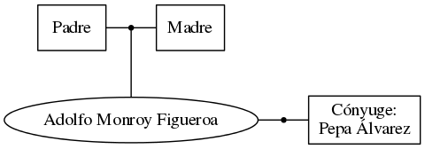 This is a graph with borders and nodes. Maybe there is an Imagemap used so the nodes may be linking to some Pages.