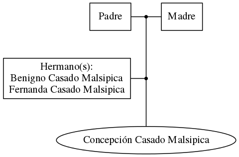 This is a graph with borders and nodes. Maybe there is an Imagemap used so the nodes may be linking to some Pages.