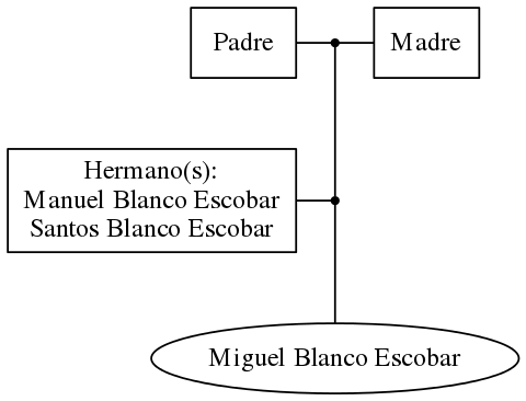 This is a graph with borders and nodes. Maybe there is an Imagemap used so the nodes may be linking to some Pages.