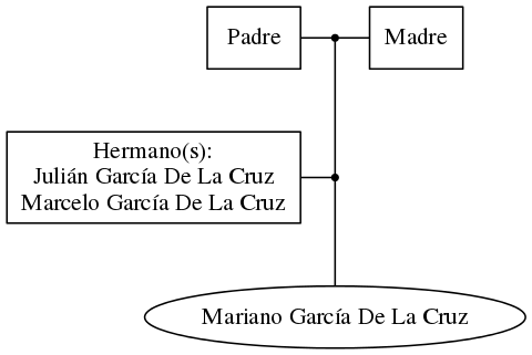 This is a graph with borders and nodes. Maybe there is an Imagemap used so the nodes may be linking to some Pages.