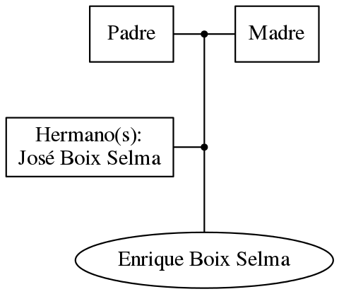 This is a graph with borders and nodes. Maybe there is an Imagemap used so the nodes may be linking to some Pages.