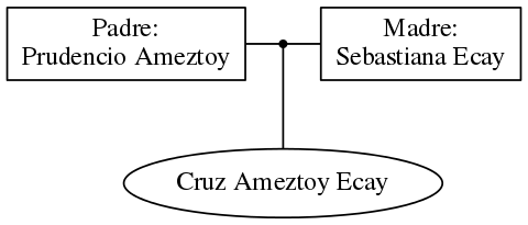 This is a graph with borders and nodes. Maybe there is an Imagemap used so the nodes may be linking to some Pages.