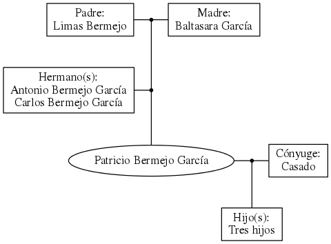 This is a graph with borders and nodes. Maybe there is an Imagemap used so the nodes may be linking to some Pages.