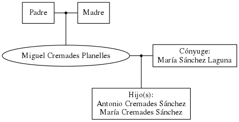 This is a graph with borders and nodes. Maybe there is an Imagemap used so the nodes may be linking to some Pages.