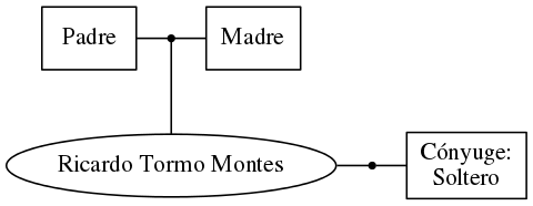 This is a graph with borders and nodes. Maybe there is an Imagemap used so the nodes may be linking to some Pages.