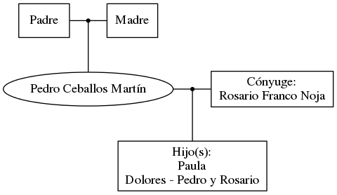 This is a graph with borders and nodes. Maybe there is an Imagemap used so the nodes may be linking to some Pages.