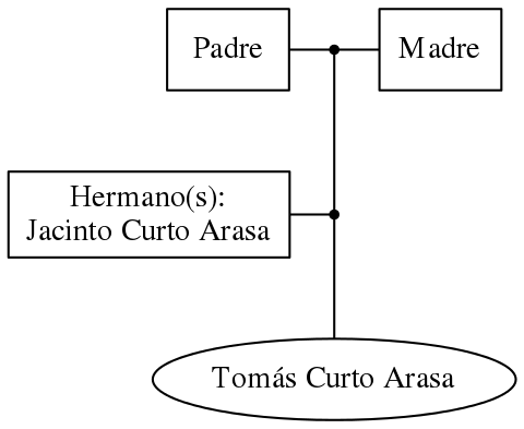 This is a graph with borders and nodes. Maybe there is an Imagemap used so the nodes may be linking to some Pages.