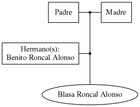 This is a graph with borders and nodes. Maybe there is an Imagemap used so the nodes may be linking to some Pages.