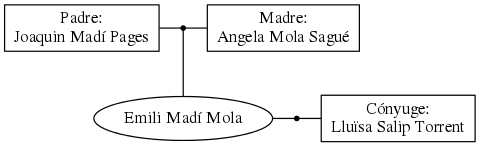 This is a graph with borders and nodes. Maybe there is an Imagemap used so the nodes may be linking to some Pages.