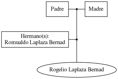 This is a graph with borders and nodes. Maybe there is an Imagemap used so the nodes may be linking to some Pages.