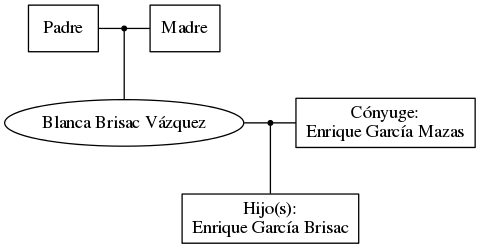 This is a graph with borders and nodes. Maybe there is an Imagemap used so the nodes may be linking to some Pages.