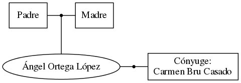 This is a graph with borders and nodes. Maybe there is an Imagemap used so the nodes may be linking to some Pages.