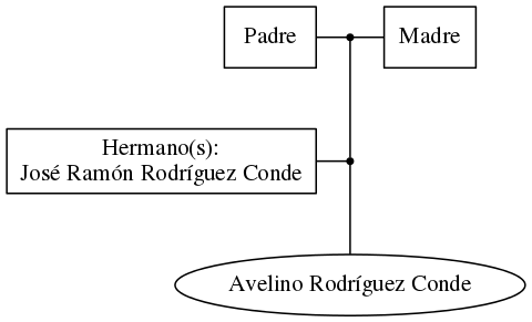 This is a graph with borders and nodes. Maybe there is an Imagemap used so the nodes may be linking to some Pages.