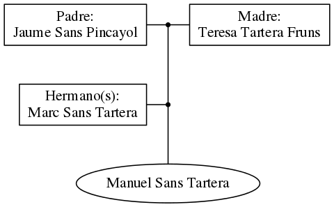 This is a graph with borders and nodes. Maybe there is an Imagemap used so the nodes may be linking to some Pages.