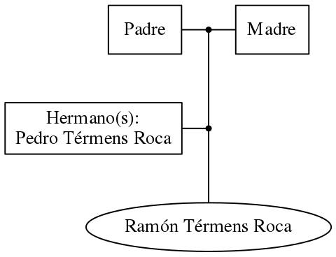 This is a graph with borders and nodes. Maybe there is an Imagemap used so the nodes may be linking to some Pages.