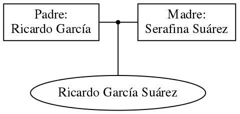 This is a graph with borders and nodes. Maybe there is an Imagemap used so the nodes may be linking to some Pages.